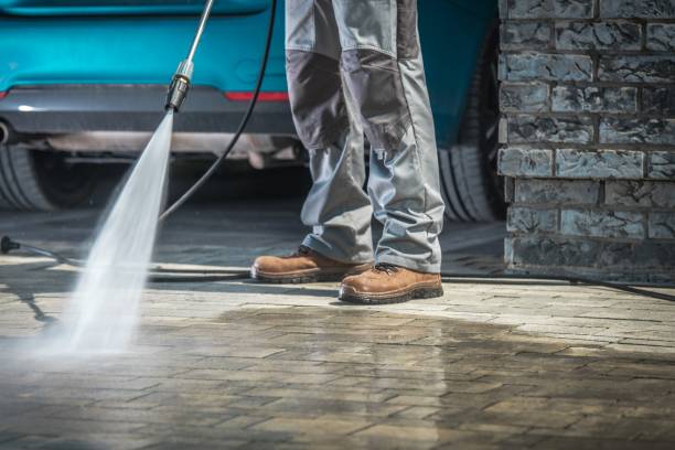 Best Driveway Pressure Washing  in Chesterton, IN